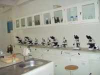 Clinical Laboratory